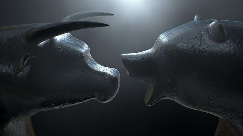 Picture of bull and bear symbolizing the difference between optimism and pessimism
