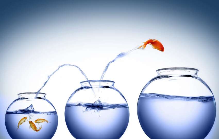 A fish jumping to bigger fish bowls. A metaphor for ambition.