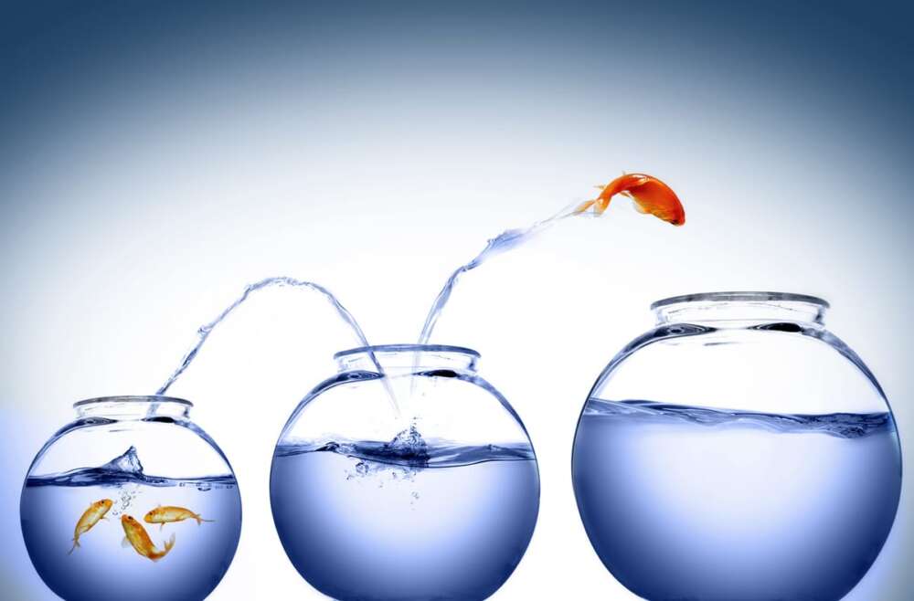 A fish jumping to bigger fish bowls. A metaphor for ambition.
