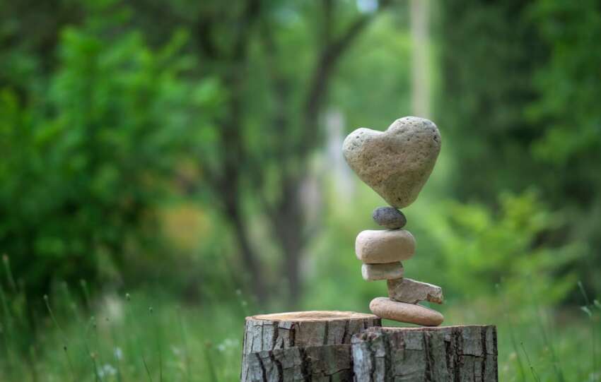 Image of balancing roicks